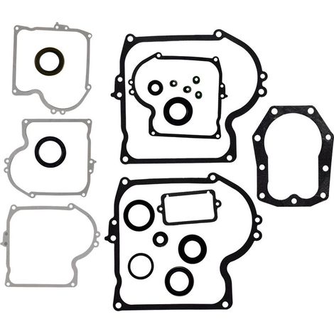 Jeu de joints de rechange Briggs & Stratton 393411 compatible avec les moteurs de 10 à 11 CV (1/5)