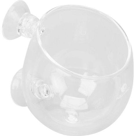 Support Aquarium en Verre pour Plantes Décoratives, Ventouse Fixation, Réservoir à Poissons pour Paysage Eau Douce ou Salée (1/5)