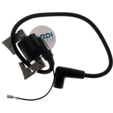 Bobine d'allumage compatible avec Robin remplace 234-70124-21 (1/3)