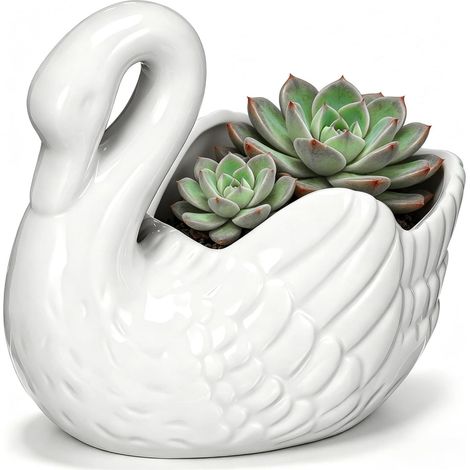Jardinière en Porcelaine, Cache-Pot Céramique pour Succulentes Surface Lisse, Format De Table, Motif Décoratif, Plantes Succulentes, Intérieur (1/5)