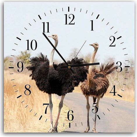 Horloge Décorative avec Duo d'Autruches Sauvages - 30 x 30 cm