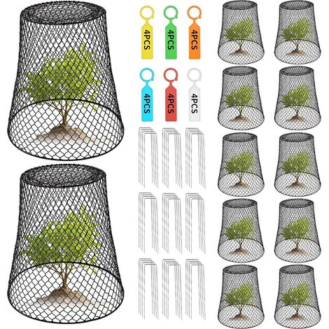 Lot de 12 cages de protection pour plantes – Grillage métallique 23x23x15cm, protège fleurs et légumes, anti-animaux, jardin extérieur (1/5)
