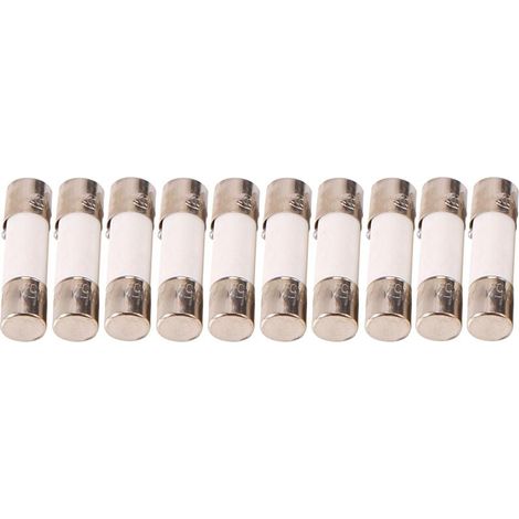10 Pièces Tubes Céramique Fusibles 5x20mm 250V 0.5A à 500mA Rupture (1/4)