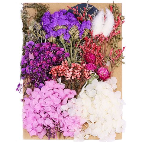 1 Lot Fleurs séchées naturelles, assortiment couleurs variées, idéal décoration artisanat DIY, cartes scrapbooking (1/5)