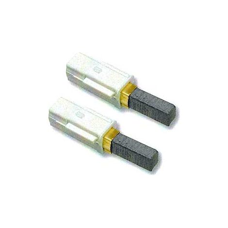 Charbons pour moteur VACUFLO V480
