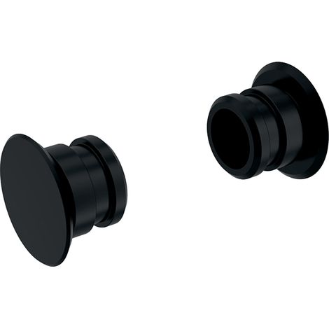 2er-Set Bolzen Mlth Seitenverkl. grau 243042