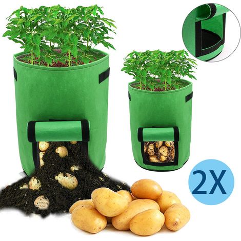 EINFEBEN 2x Sac de plantes avec fenêtre Balcon Jardin respirant Sac de plantes vertes 3540cm 38L Tissu non tissé (1/4)