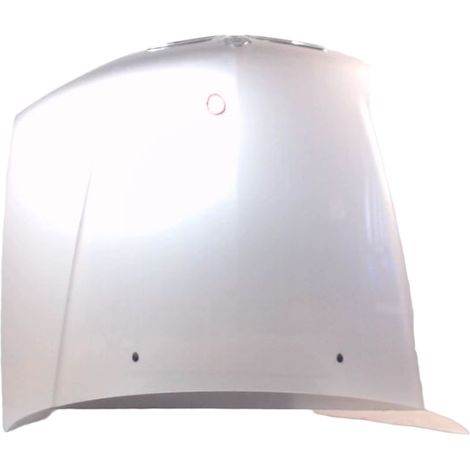 Capot NISSAN Primera [PRODUIT D'OCCASION]♻️651009f531 (1/2)