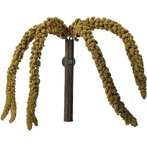 Miglio giallo in un bouquet di Back Zoo Nature  Bouquet di miglio giallo in spighe  Una prelibatezza per tutti i pappagalli 150 g (1/5)