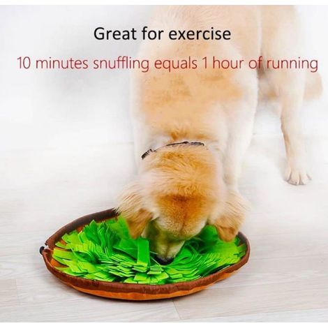 Tapis de Fouille Chien, Jouet Chien Chat, Snuffle Matt, Jouet Éducateur pour Chiot, Jeux avec Croquettes - fy (1/5)