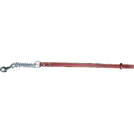 GUINZAGLIO PER CANE larg. mm 18 lung.cm 70