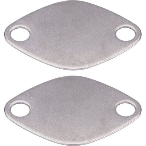 Kit de plaque de bloc d'obturation de vanne EGR pour RENAULT ESPACE LAGUNA MASTER TRAFIC VAUXHALL MOVANO (1/5)