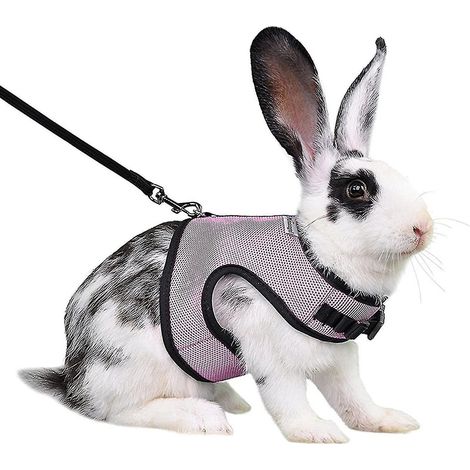 Harnais pour lapin, furet, rat et hamster, confortable et réglable, avec laisse et harnais en maille douce, accessoires pour animaux de compagnie - XL - Rose (1/5)