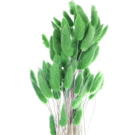 60 queues de lapin lagurus ovatus vert foncé 24 pouces, fleurs séchées pour déco mariage, Noël