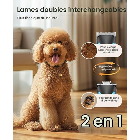 Tondeuse chien silencieuse 2 en 1, pour et chats poil long epais, têtes, pattes, yeux, oreilles visages (1/3)