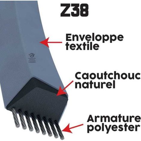 Courroie tondeuse Z38 Trapézoïdale - 10 mm x 1003 mm (1/5)