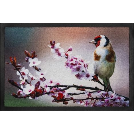 Paillasson oiseau rouge fleurs roses - Modèle Annapurna
