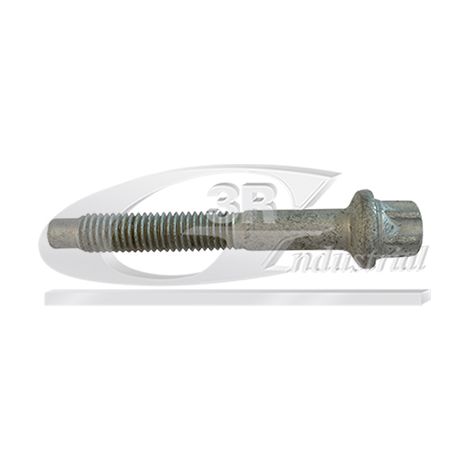 3RG 86270 TORNILLO INYECTOR