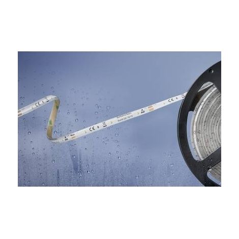 Barthelme Basic 51540428 Cinta LED blanca 5m