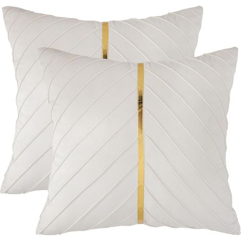 Coussin - Velours - 45 x 45 cm - Décoration Canapé Lit Siège - Lot de 2 (1/5)