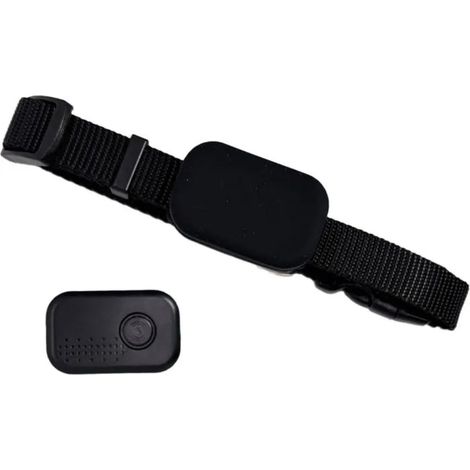 Traceur GPS - Compatible iOS et Android - Étanche IP67 - Batterie CR2032 - Collier Réglable pour Chien et Chat - 1 Pièce