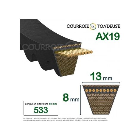 Courroie type trapézoïdale crantée AX19