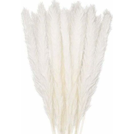 30 pcs Herbe de la Pampa, 58 cm Naturel Pampa Fleur Bouquet de Fleurs Sechees pour Vases, Blanc Boho Decoration Chambre Maison Salon, Mariage Photographier Table Décoration (1/5)
