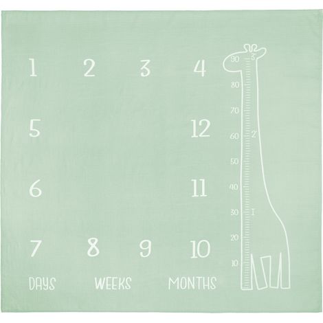 Passe-partout photo en mousseline 120x120 girafe menthe (1/5)