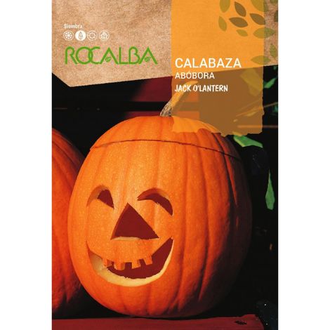 Rokalba Seed Calabaza Jack O'Lontern 100g
