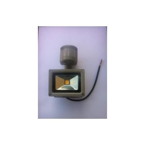 Projecteur LED - EA - 10W - Blanc - Détecteur de mouvement - Extérieur