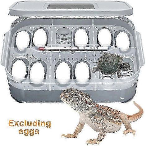Incubateur pour œufs de reptiles à usage domestique, 20 L, avec thermomètre pour lézards et tortues, 2026-AquaForge (1/5)