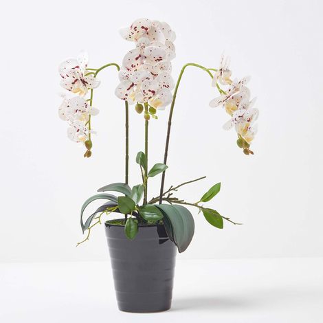 Homescapes Orchidée artificielle blanche en pot en céramique noir 56 cm