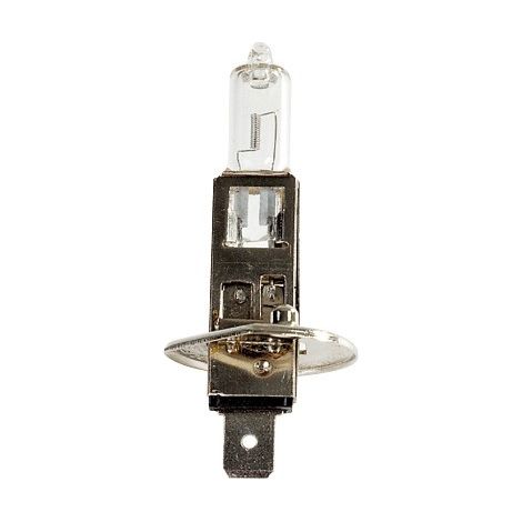 Maxter – Ampoule H1 12V 55W P14.5S – Éclairage halogène – Culot P14.5S – Lumière blanche – Pour véhicules et éclairage automobile