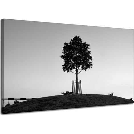 Leinwanddruck Natur Baum Schwarzweiß 120x70