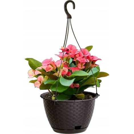 Blumentopf RATOLLA Round W 240, hängend, braun, mit Untersetzer, Hängetopf, mit Aufhänger (1/2)