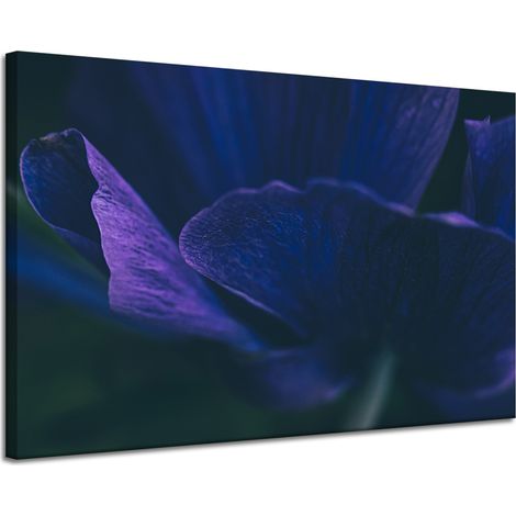 Lienzo impreso Botánica Pétalos morados 120x80