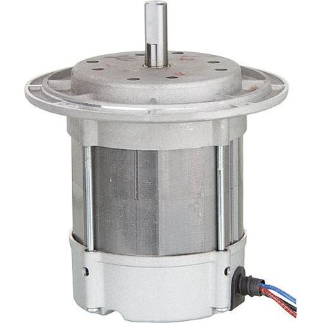 Moteur Riello 3005286 BG