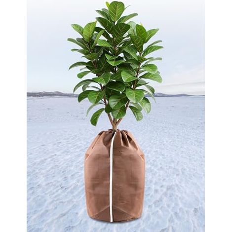 Landrip Thermoschutz für Pflanzen im Freien, 60 x 90 cm, Winterschutz für Topfpflanzen, Topfschutz mit Kordelzug, Frostschutz für Pflanzen (1/5)