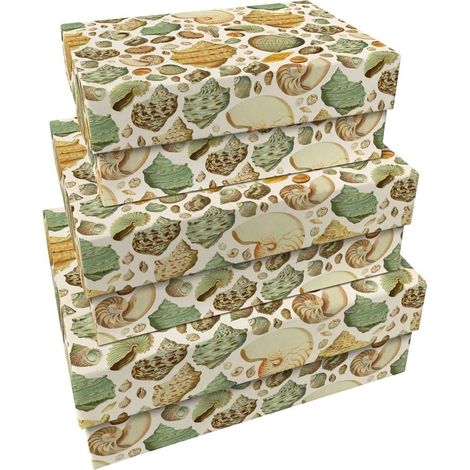 Scatole decorative a forma di conchiglia, 3 pezzi
