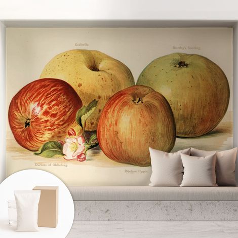 Tapete Vliestapete mit Kleber Wandtapete modern - Tapete mit Motiv - Tapete Schlafzimmer Äpfel und Blumen 208x146 cm (1/5)