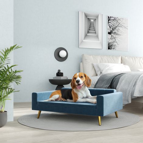 Canapé chien lit pour chien design scandinave coussin moelleux pieds métal doré 94 x 59.5 x 31.5 cm velours soyeux bleu