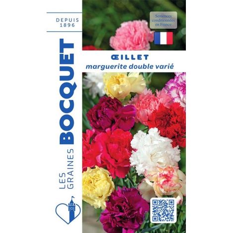 Oeillet marguerite annuel varié - 0,5g