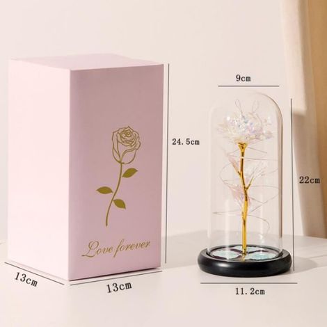Rose Eternelle - Cloche En Verre Avec Lumières Led - Décoration Intérieure - Cadeau Pour Femme - 1 Pièce (1/4)
