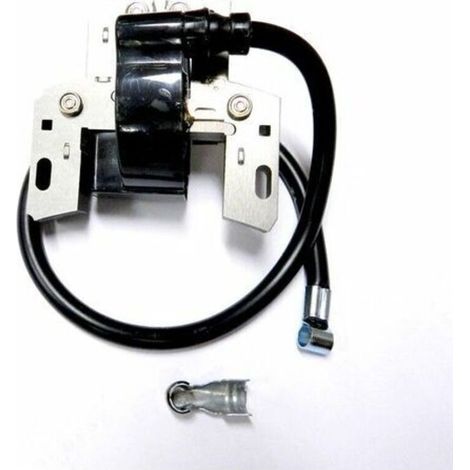 Bobine allumage moteur Briggs et Stratton 591459