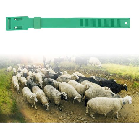 Collares de identificación para cabras – 10 unidades, de PU, 36 cm, color verde – Banda de identificación para ganado (1/5)