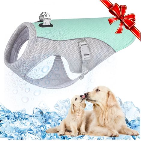 Veste Rafraîchissante pour Chien Gilet de Refroidissement Réglable Harnais Respirant Anti-Coup de Chaleur pour Chiens Petits Moyens et Grands Menthe (1/5)