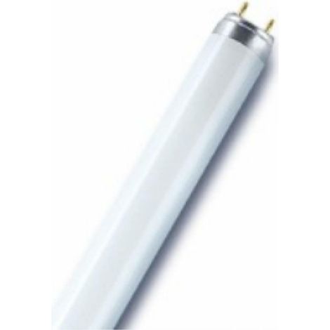 Osram lampada fluorescente lineare diamtero 26 mm attacco g13 l1876