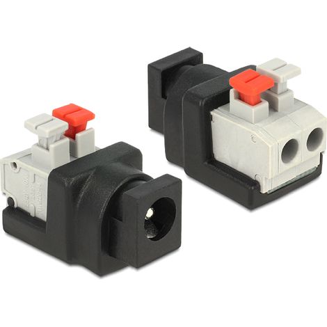 Delock Adattatore DC 2.1x5.5mm Femmina Terminal Block 2 pin con Pulsante