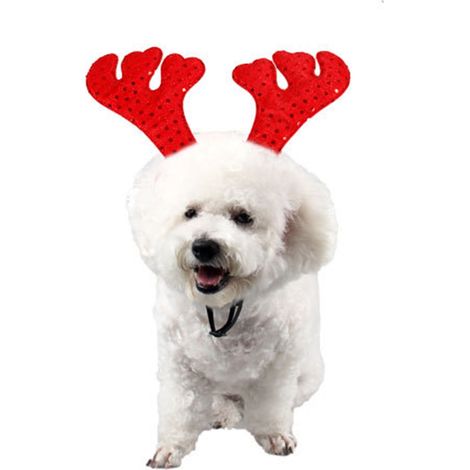 Headdress Animal - Cornes De Biche En Tissu Avec Paillettes - Pour Chien Et Chat - Ajustable - Décoration Festive De Noël - 1 Pièce (1/5)