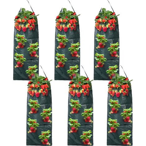 Lot de 6 sacs de culture de fraises pliables et perforés faciles à suspendre pour fruits et légumes sur le balcon de la maison, 60 x 25 cm (1/5)